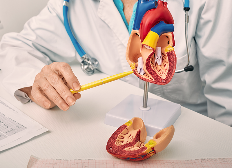 Structural Heart Disease